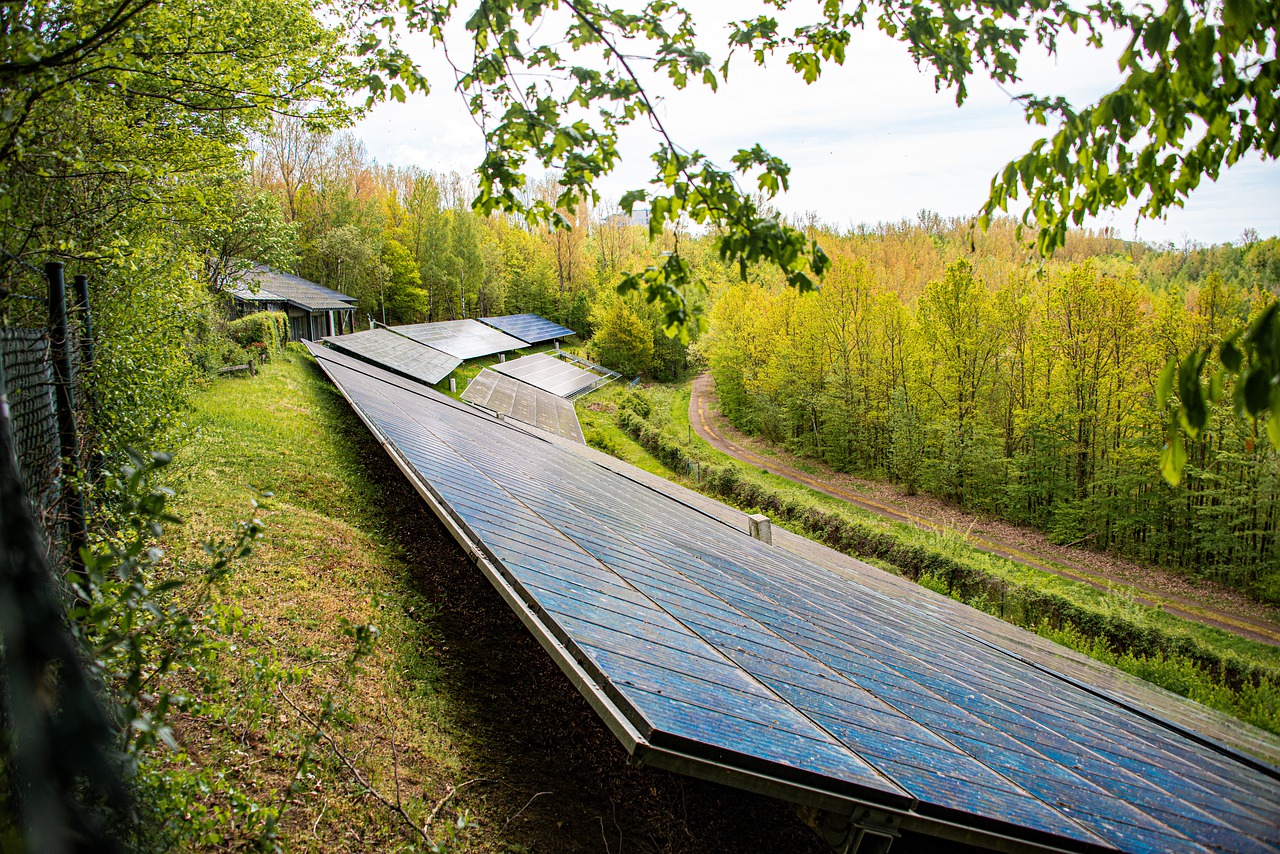 Solar Panels Forest Meadow  - Gruendercoach / Pixabay